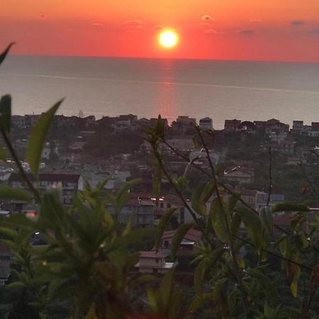 Dal Barone Bed and Breakfast Capo dʼOrlando Exteriör bild